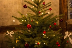 baum-schoen