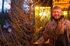 baum_kahl