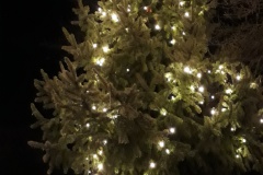 1276469512_20211222_180509_2826813_resized