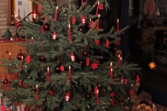 171224 Weihnachtsbaum + Krippe (8)