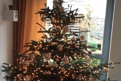 5DD36EED-5514-49D7-8373-05DD11F62783