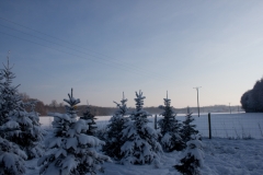 Schneepanorama