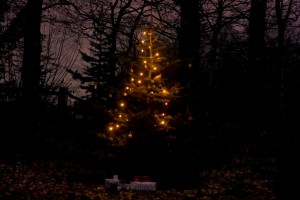 baum-2